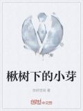 楸树下的小芽