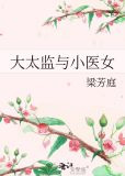 大太监与小医女